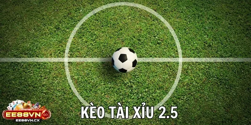 Kèo Chấp 2 2.5 - Khi Sự Rủi Ro Trở Thành Cơ Hội Tốt Kèo Chấp 2 2.5
